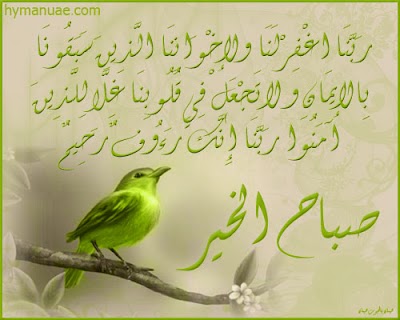 صور صباح - اجمل خلفيات صباحيه 144147 7