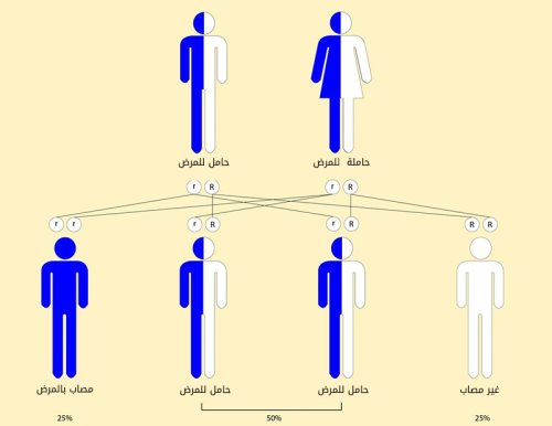 معرفة حمل مرض التلاسيميا 20160804 2327