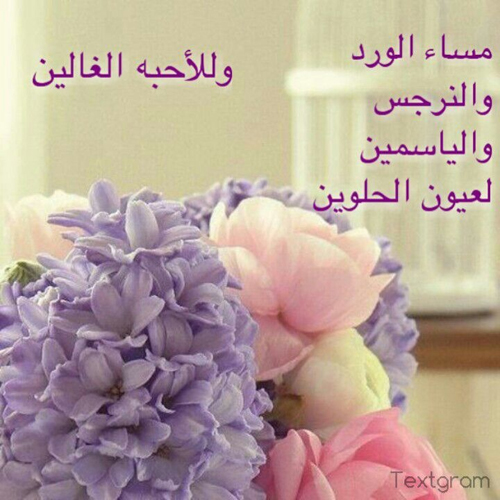 صور واتس اب رمزيات 245050 7