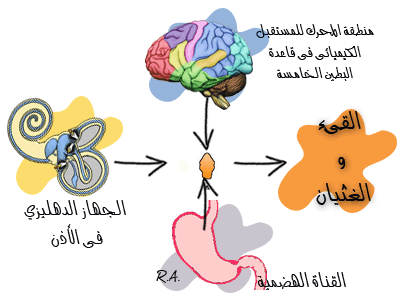 سبب الشعور بالغثيان Acde322A4F82654361Fd2Cf3Bdf4De7F