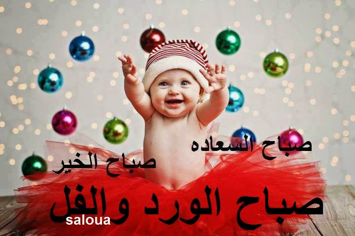 صور صباح - اجمل خلفيات صباحيه 144147 1