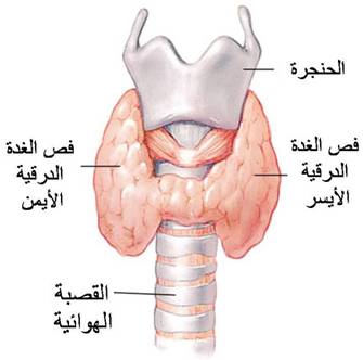 علامات القواطر