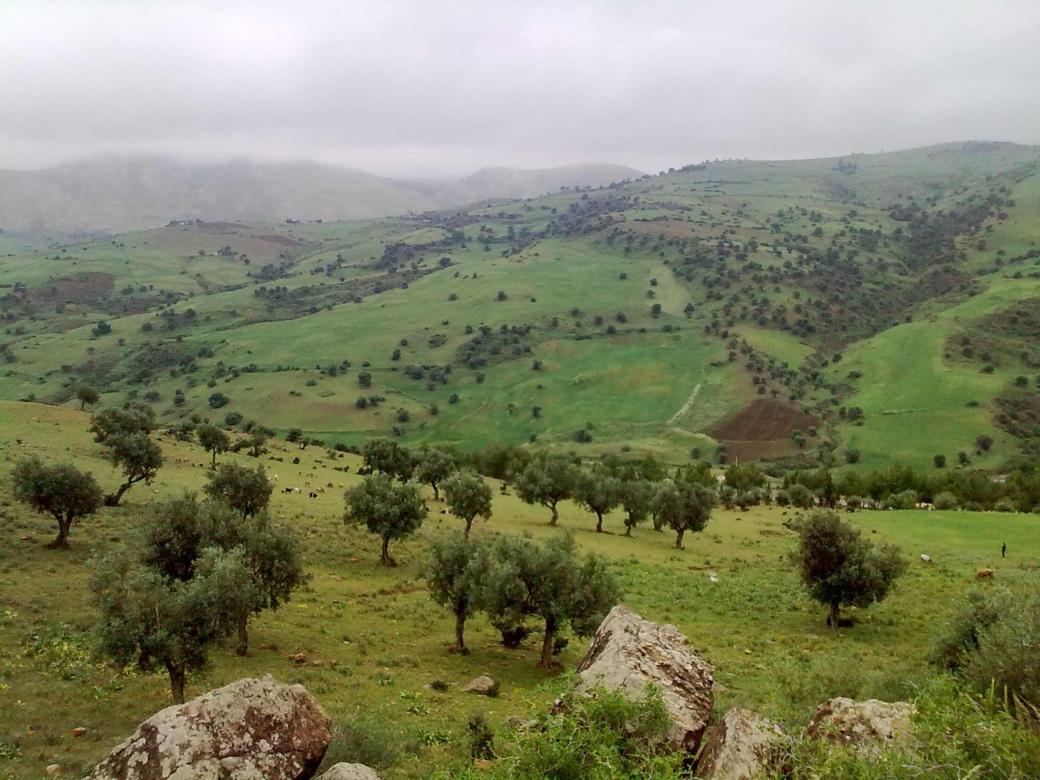 السهول و الهضاب والجبال 20160720 2176