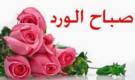 صور صباح - اجمل خلفيات صباحيه 144147 4