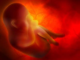 20160628 73 اسرع طريقة للاجهاض بالاعشاب الطبيعية - طرق الاجهاض المنزلي حلمي جميل