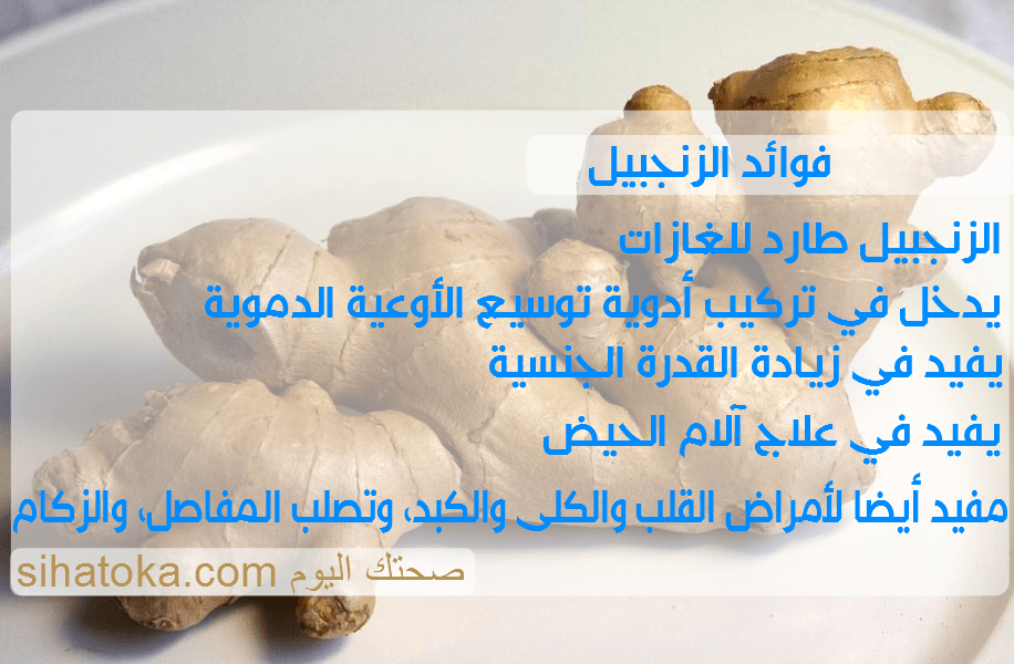 فوائد الزنجبيل لجسم الانسان