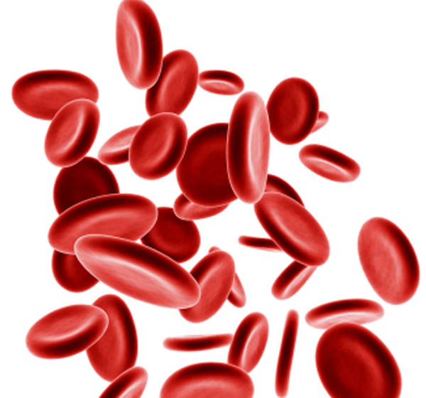 عراض فقر الدم 
