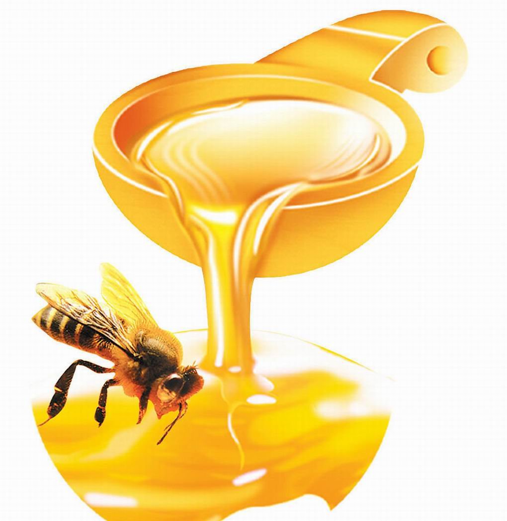 حدس كارثة مطاط النقود  مقال علمي عن العسل قصير - بيوتي