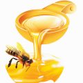 D3Deadf3D90312855D84Dad2Adc633Be مقال علمي عن العسل قصير شيراز عدنان