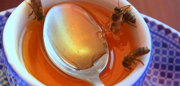 فائدة عسل النحل علي الريق
