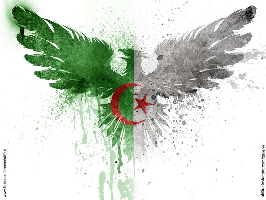 0 Result Images of اجمل الصور عن يوم العلم الجزائري - PNG Image Collection